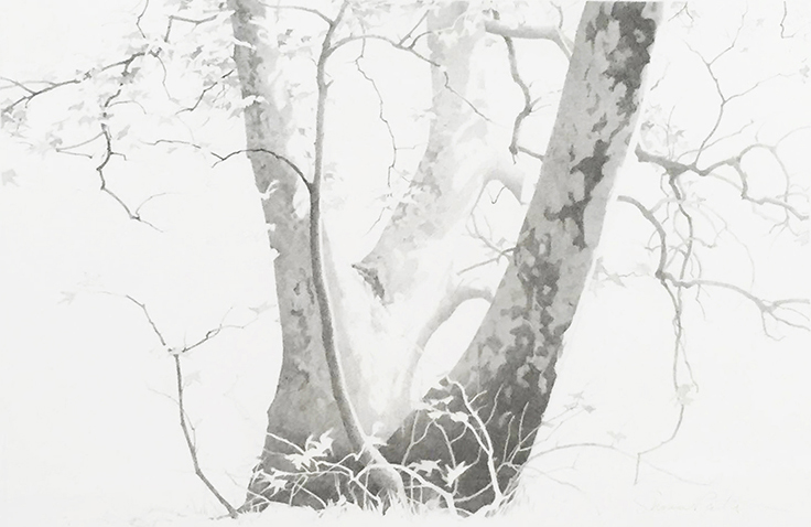 Susan Petty,